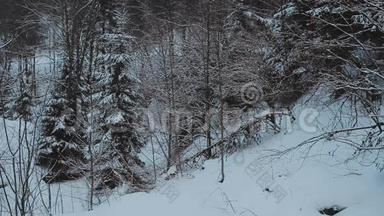 冬季景观。 冬季森林。 冬季景观，背景，空间。 景观。 冬季景观